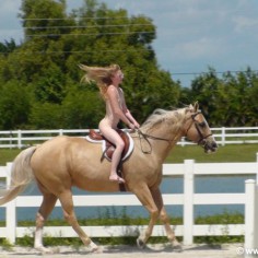 Naked girls on a horse  