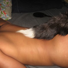 petgirls tailplug 14