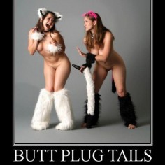 Petgirls with tailplugs  