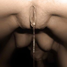 shaved pussy 0049